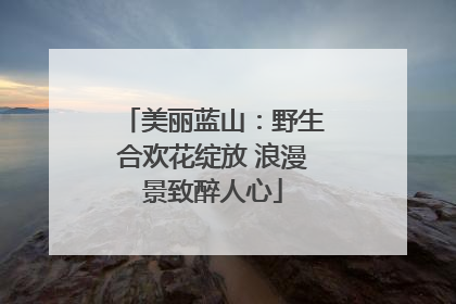 美丽蓝山：野生合欢花绽放 浪漫景致醉人心