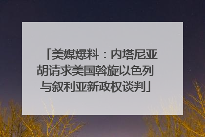 美媒爆料：内塔尼亚胡请求美国斡旋以色列与叙利亚新政权谈判