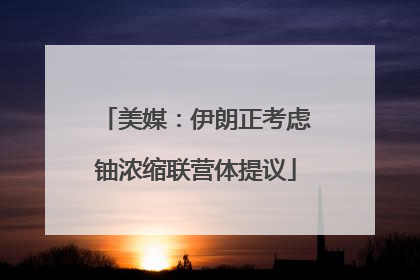 美媒：伊朗正考虑铀浓缩联营体提议