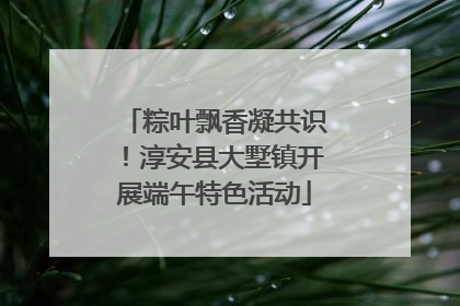 粽叶飘香凝共识！淳安县大墅镇开展端午特色活动