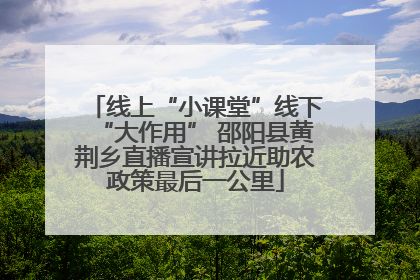 线上“小课堂”线下“大作用” 邵阳县黄荆乡直播宣讲拉近助农政策最后一公里