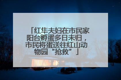 红隼夫妇在市民家阳台孵蛋多日未归，市民将蛋送往红山动物园“抢救”