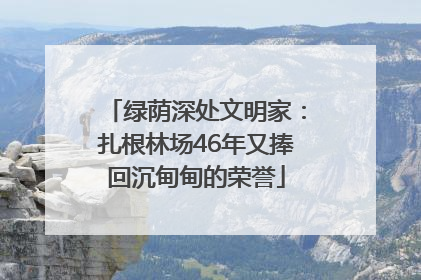 绿荫深处文明家：扎根林场46年又捧回沉甸甸的荣誉