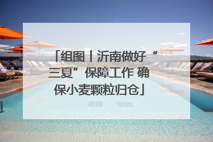 组图丨沂南做好“三夏”保障工作 确保小麦颗粒归仓