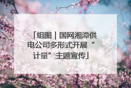 组图｜国网湘潭供电公司多形式开展“计量”主题宣传