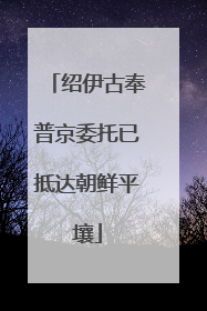 绍伊古奉普京委托已抵达朝鲜平壤