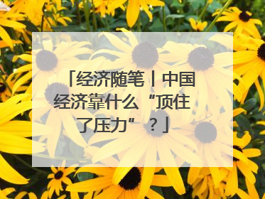 经济随笔丨中国经济靠什么“顶住了压力”？