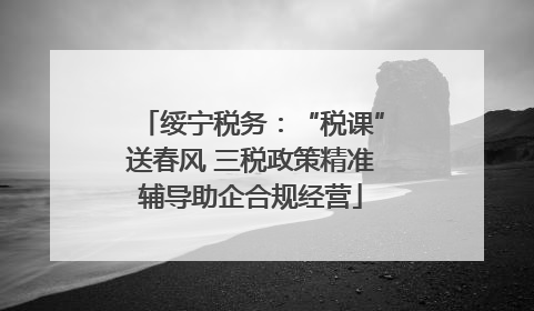 绥宁税务：“税课”送春风 三税政策精准辅导助企合规经营