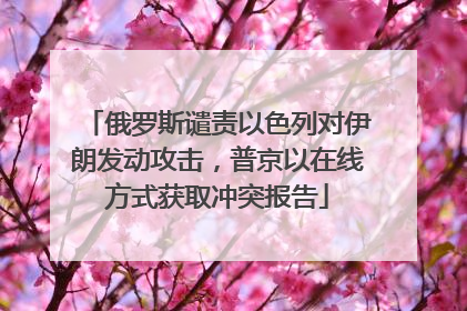 俄罗斯谴责以色列对伊朗发动攻击，普京以在线方式获取冲突报告