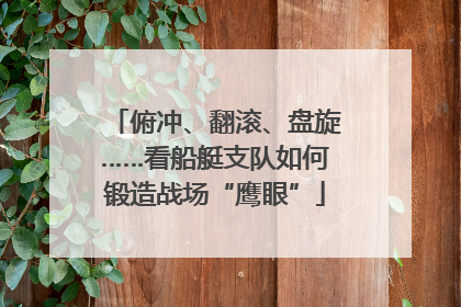 俯冲、翻滚、盘旋……看船艇支队如何锻造战场“鹰眼”