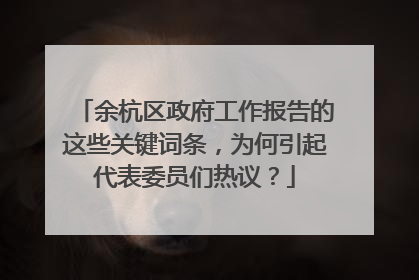 余杭区政府工作报告的这些关键词条，为何引起代表委员们热议？