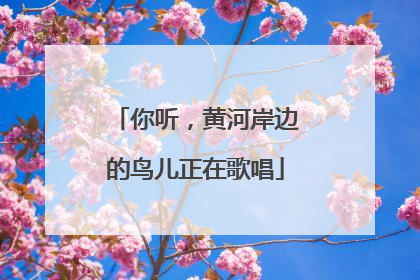 你听，黄河岸边的鸟儿正在歌唱