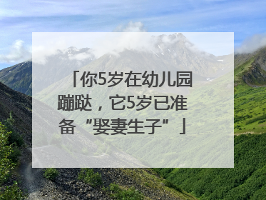 你5岁在幼儿园蹦跶，它5岁已准备“娶妻生子”