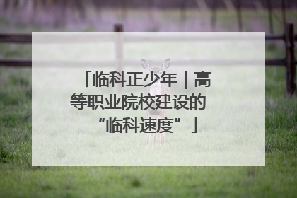临科正少年｜高等职业院校建设的“临科速度”