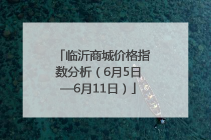 临沂商城价格指数分析（6月5日—6月11日）