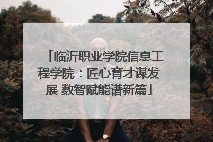 临沂职业学院信息工程学院：匠心育才谋发展 数智赋能谱新篇