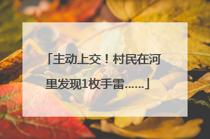 主动上交！村民在河里发现1枚手雷……