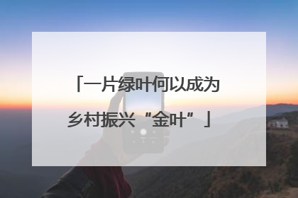 一片绿叶何以成为乡村振兴“金叶”
