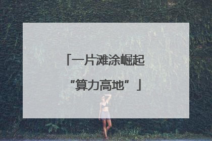 一片滩涂崛起“算力高地”