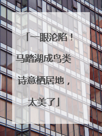 一眼沦陷！马踏湖成鸟类诗意栖居地，太美了