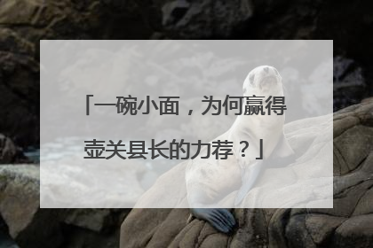 一碗小面，为何赢得壶关县长的力荐？