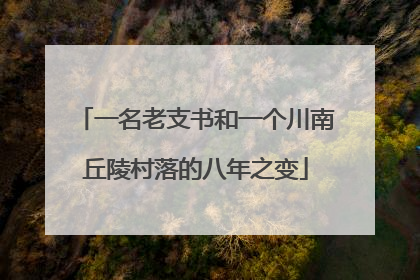 一名老支书和一个川南丘陵村落的八年之变