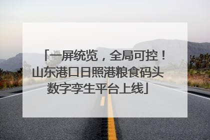 一屏统览，全局可控！山东港口日照港粮食码头数字孪生平台上线