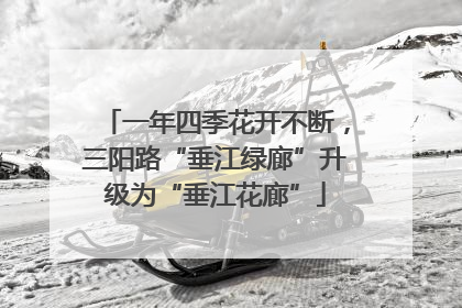一年四季花开不断，三阳路“垂江绿廊”升级为“垂江花廊”