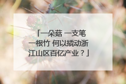 一朵菇 一支笔 一根竹 何以撬动浙江山区百亿产业？