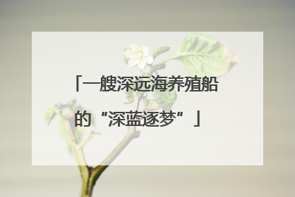 一艘深远海养殖船的“深蓝逐梦”