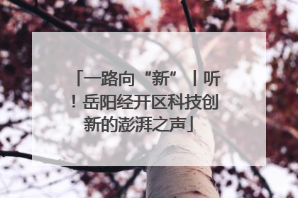 一路向“新”丨听！岳阳经开区科技创新的澎湃之声