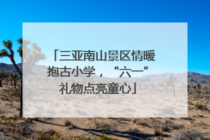 三亚南山景区情暖抱古小学，“六一”礼物点亮童心
