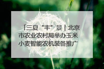 三夏“丰”景｜北京市农业农村局举办玉米小麦智能农机装备推广“田间日”活动