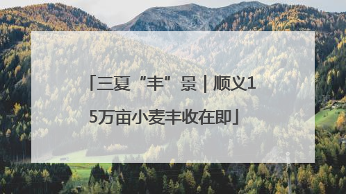 三夏“丰”景｜顺义15万亩小麦丰收在即