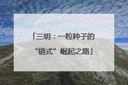 三明：一粒种子的“链式”崛起之路