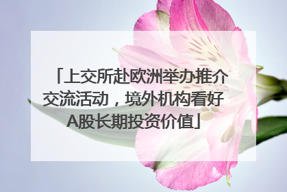 上交所赴欧洲举办推介交流活动，境外机构看好A股长期投资价值