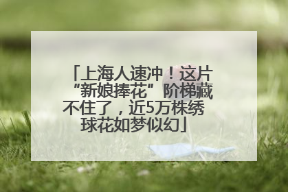 上海人速冲！这片“新娘捧花”阶梯藏不住了，近5万株绣球花如梦似幻