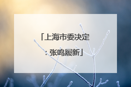 上海市委决定：张鸣履新