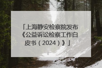 上海静安检察院发布《公益诉讼检察工作白皮书（2024）》