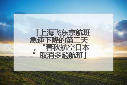 上海飞东京航班急速下降的第二天，“春秋航空日本”取消多趟航班