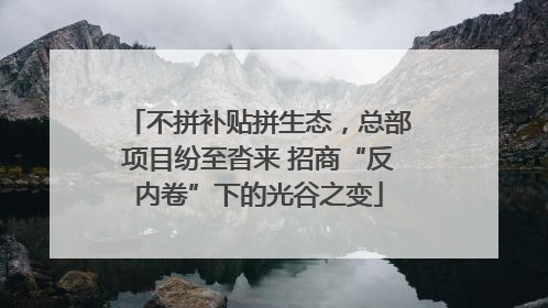 不拼补贴拼生态，总部项目纷至沓来 招商“反内卷”下的光谷之变