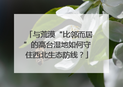 与荒漠“比邻而居”的高台湿地如何守住西北生态防线？