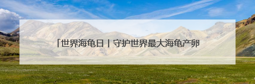 世界海龟日丨守护世界最大海龟产卵 特多“守夜人”坚守海滩30多年