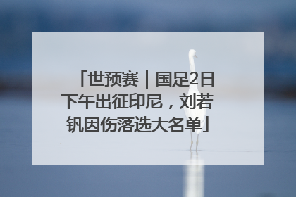 世预赛｜国足2日下午出征印尼，刘若钒因伤落选大名单