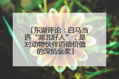 东湖评论：白马当选“湖北好人”，是对动物伙伴道德价值的深情褒奖