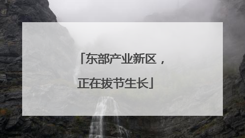 东部产业新区，正在拔节生长