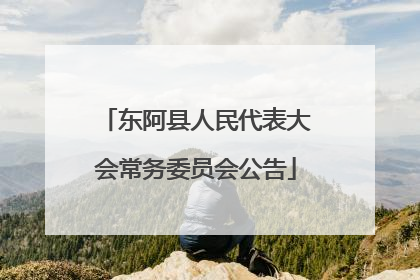 东阿县人民代表大会常务委员会公告