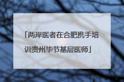 两岸医者在合肥携手培训贵州毕节基层医师