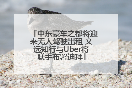 中东豪车之都将迎来无人驾驶出租 文远知行与Uber将联手布署迪拜