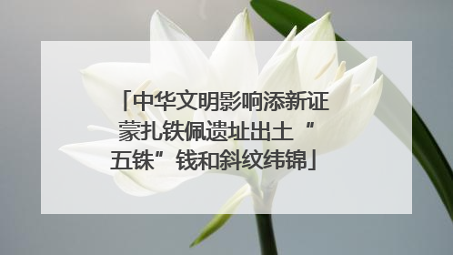 中华文明影响添新证 蒙扎铁佩遗址出土“五铢”钱和斜纹纬锦